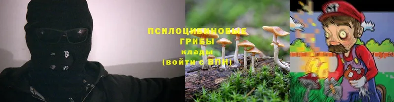 Псилоцибиновые грибы MAGIC MUSHROOMS  Черкесск 